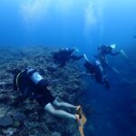 リーフチェック