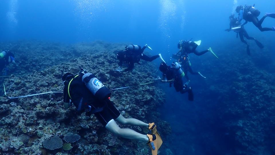 リーフチェック